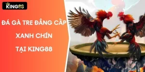 Đá gà tre đẳng cấp