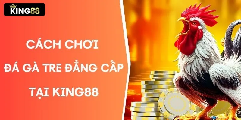 Hướng dẫn cách chơi đá gà tre đẳng cấp chi tiết