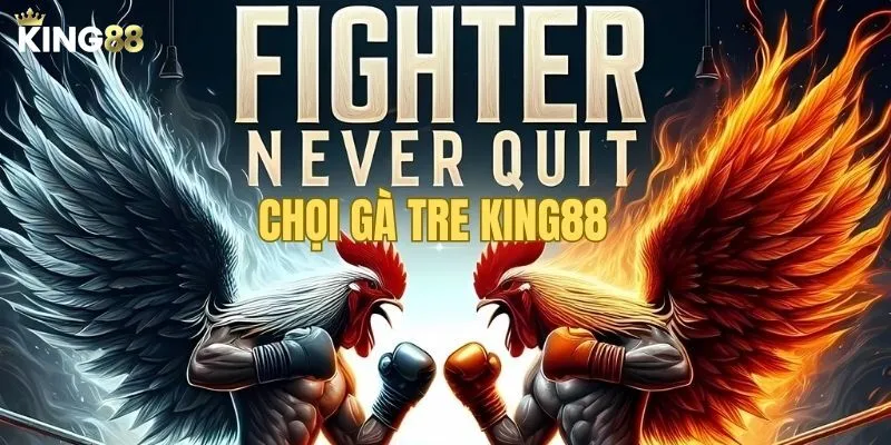 Sơ lược về thế giới chọi gà tre King88