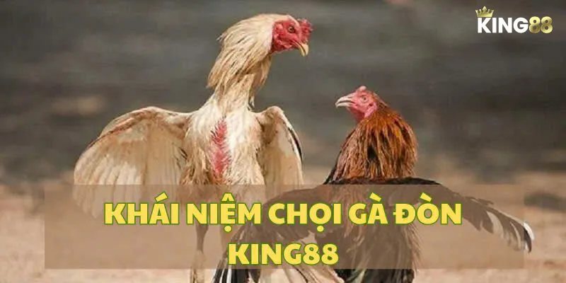 Khái niệm chọi gà đòn