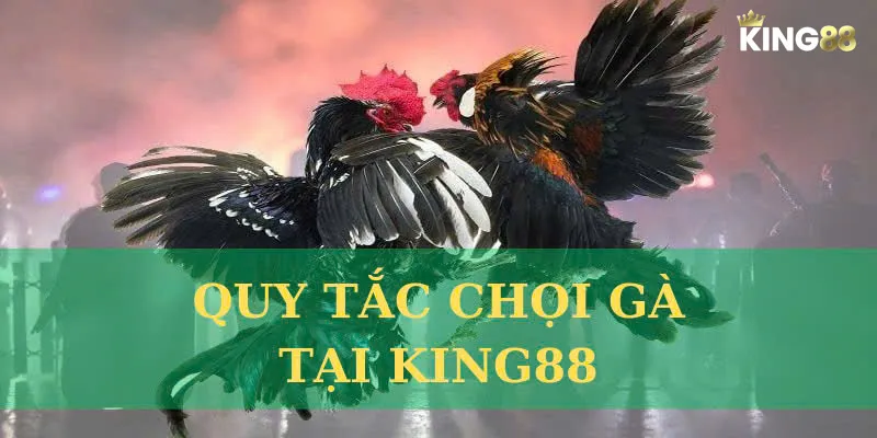 Quy tắc chọi gà đòn King88