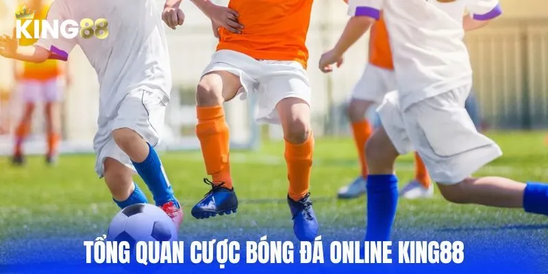 Giới thiệu tổng quan về cược bóng đá online