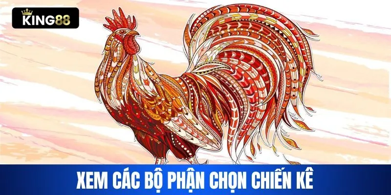 Xem các bộ phận riêng để chọn chiến kê chuẩn